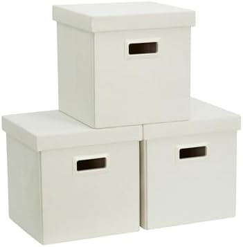 DECOMOMO Storage Basket with Lids, 3x Tougher Collapsible Storage Bins by DECOMOMO