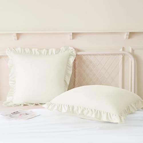 KKJIAF 2 Pack Ruffle Pillow Cases 20x20 Inches, Beige - Image 4
