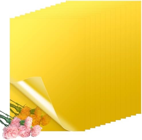 12 PCS 8x12 Inch Gold Acrylic Sheet 1/8 Thick Mirror Squares for Wall 8x12 Gold Plastic Mirror Sheet 1/8 Acrylic Mirror Sheet 3 mm Reflective Plexiglass Sheet for Crafts DIY, Home Decor by LOPYXBR