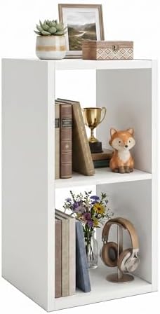 WannabeMyself【2026 Wooden Thick Frame 】 2 Cube Storage Organizer with Anti-Tipping Kits, Reversible Open Back Book Shelf,Bookcase for Living Room,Bedroom,Entrance Hall,Office,11.6×24.7×13.1,White by WannabeMyself