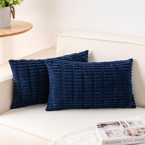 Aegero Pack of 2 Corduroy Decorative Throw Pillow Covers 12x20 Inch, Blue by Unknown
