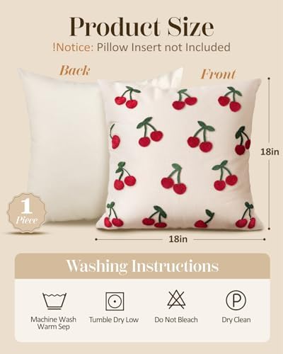Embroidered Throw Pillow Cover 18x18 Inch - Spring Summer Boho Decorative Pillow Cover with Zipper for Living Room Couch Sofa Bed Aesthetic Design Little Cherry Cushion Pillowcase (Pack of 2) - Image 4