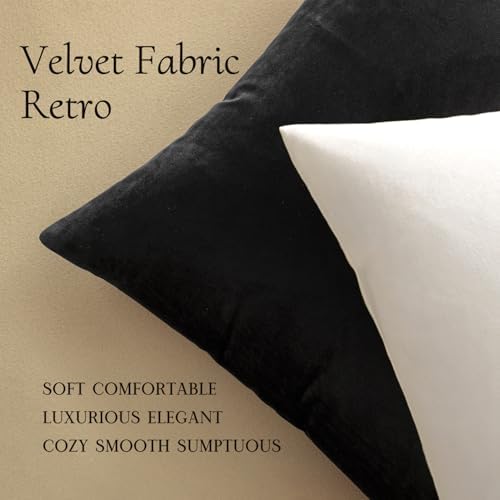 MIULEE 24x24 Inch Pack of 2 Euro Velvet Throw Pillow Covers Black - Image 5