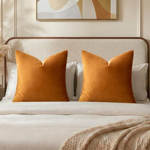 GIGIZAZA Orange Velvet Pillow Covers 26x26 Decorative Pillows Pack of 2 by GIGIZAZAFocusingonhomedecoration