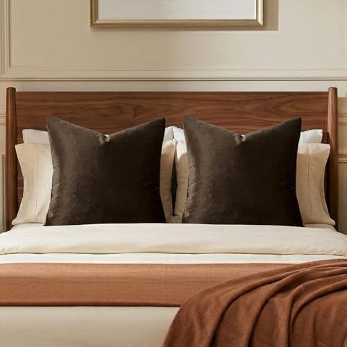 GIGIZAZA Brown Velvet Pillow Covers 26x26 Decorative Pillows Pack of 2 by GIGIZAZAFocusingonhomedecoration