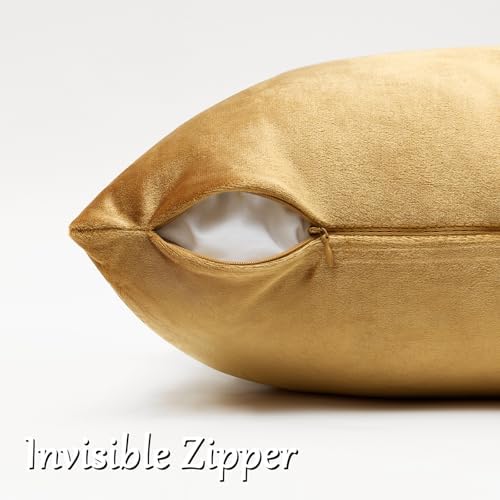 GIGIZAZA Golden Velvet Pillow Covers 24x24 Decorative Pillows Pack of 2 - Image 4