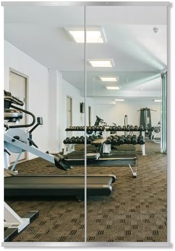 Delma Home Gym Mirror, 70''x24''x2PCS, Silver by Delma