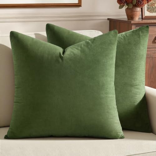 MIULEE 24x24 Inch Pack of 2 Euro Velvet Throw Pillow Covers Moss Green by MIULEE