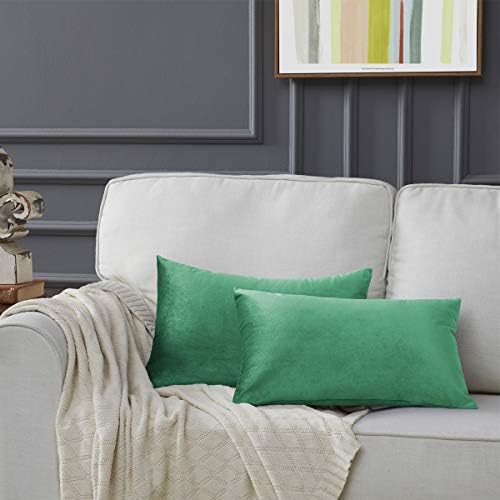 GIGIZAZA Mint Turquoise Velvet Decorative Throw Pillow Covers 12x20 for Sofa Bed 2 Pack Soft Lumbar Cushion Cover by GIGIZAZAFocusingonhomedecoration