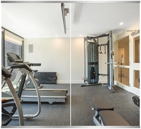 Delma Home Gym Mirror, 54''x30''x2PCS Silver by Delma