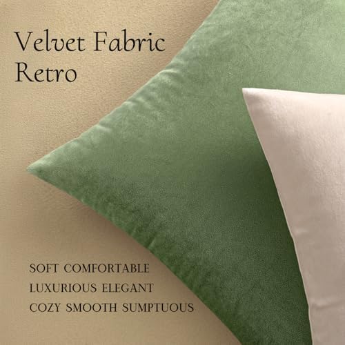 MIULEE 24x24 Inch Pack of 2 Euro Velvet Throw Pillow Covers Sage Green - Image 5