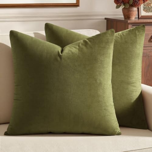 MIULEEVelvet Soft Euro Throw Pillow Covers 24x24 Inch Light Olive Green by MIULEE