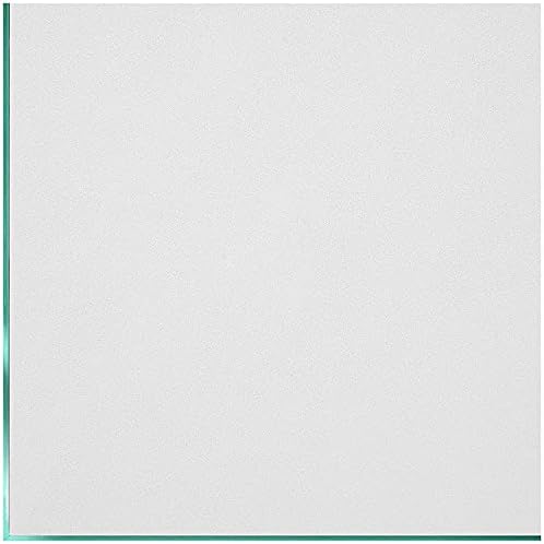 Coavas Frosted Glass Window Privacy Film, Static Cling, White 17.5"x78.7" by Coavas