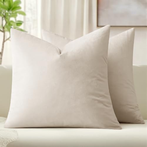 MIULEE 24x24 Inch Pack of 2 Euro Velvet Throw Pillow Covers Cream White by MIULEE