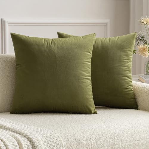 MIULEE Velvet Throw Pillow Covers 16x16 Inch Pack of 2 Light Olive Green by MIULEE
