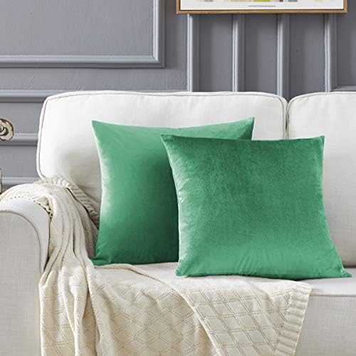 GIGIZAZA Decor Throw Couch Pillow Covers,Set of 2 Sofa Cushion Mint Turquoise Pillow Covers,Velvet Pillow Cases 24 x 24inch by GIGIZAZAFocusingonhomedecoration