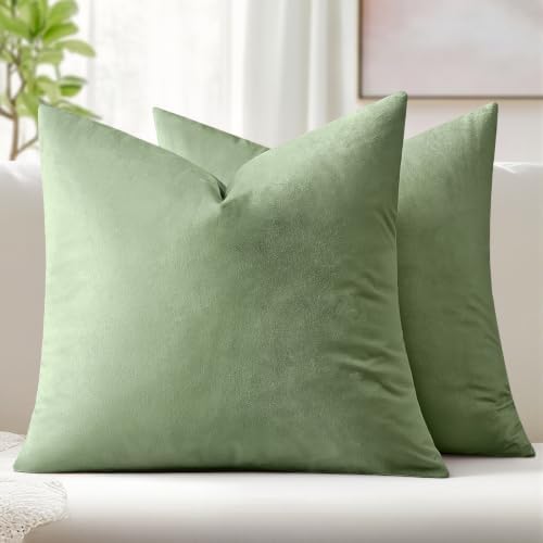 MIULEE 24x24 Inch Pack of 2 Euro Velvet Throw Pillow Covers Sage Green by MIULEE