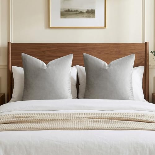 GIGIZAZA Silver Grey Velvet Throw Pillow Covers Big 26x26 Pack of 2 by GIGIZAZAFocusingonhomedecoration