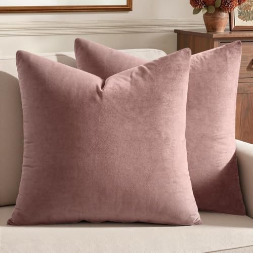 MIULEE Velvet Throw Pillow Covers 22x22 Inch Pack of 2 Jam by MIULEE
