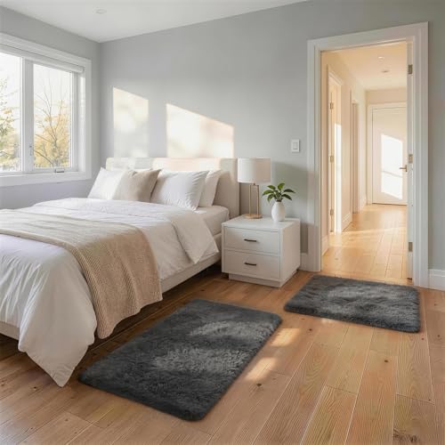 Ophanie Small Rug Washable Non Slip Throw Bedside Area Rugs, Fluffy Soft Mini Bedroom Carpet, Door Entryway Indoor Inside Front Entrance 2x3 Mat 2 Pack, Home Decor Aesthetic, Grey by Ophanie