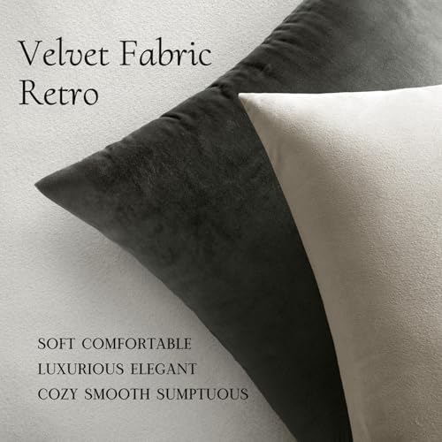 MIULEE 24x24 Inch Pack of 2 Euro Velvet Throw Pillow Covers Cream White - Image 5