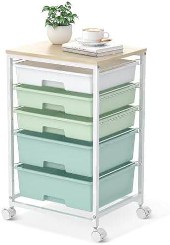 SYKIARIOL Rolling Cart with Drawers,5 Drawers Storage Cart,Light Green by SYKIARIOL
