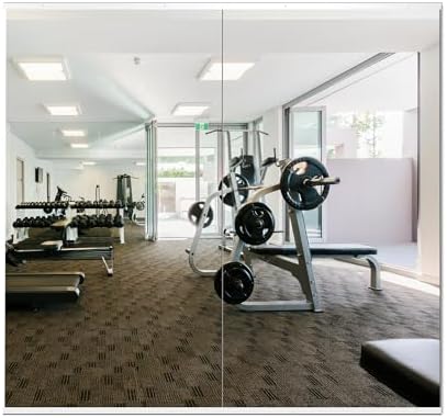 Delma Gym Mirrors for Home Gym, 54"x30" 2PCS Large Full Body Mirror, Tempered Glass Frameless Wall-Mounted Shatterproof for Workout, Yoga, Garage by Delma