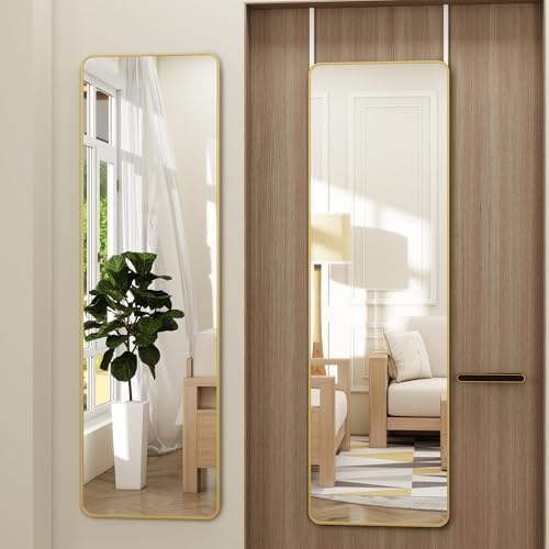 48"x 14" Full Length Door Mirror, Over the Door Mirror, Gold by JAWGLOW