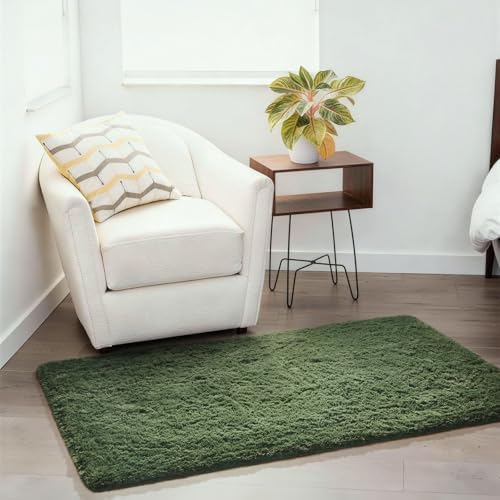 Ophanie Gray Green Grass Area Rugs for Bedroom, 3x5 Shag Fluffy Carpet, Fuzzy Furry Plush Soft Cute Kids Baby Shaggy Bedside Floor Rug for Teen Dorm Home with Over 99 pcs Pile fibers - Image 5