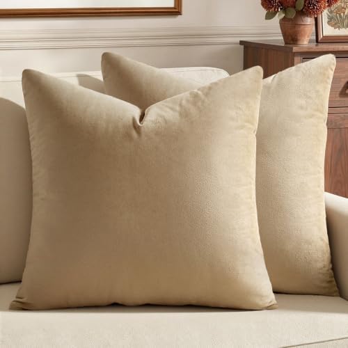 MIULEE Velvet Throw Pillow Covers 20x20 Inch Pack of 2 Beige by MIULEE