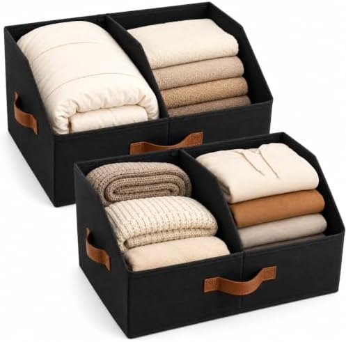 HOMELUX THEORY Closet Organizers Storage, Large Collapsible Bin 2pc, Black by HomeluxTheory