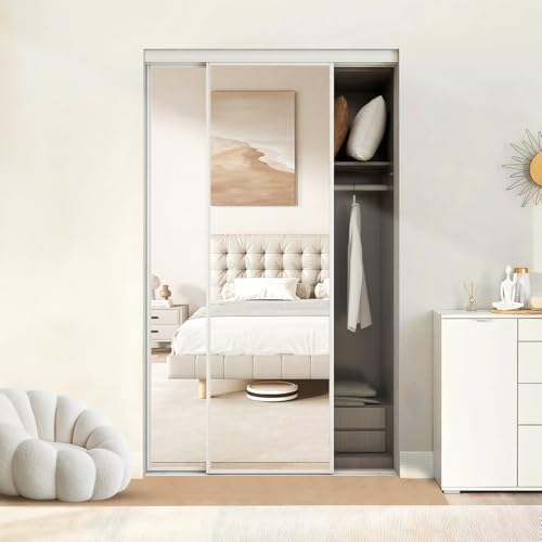 BARNSMITH 48 x 80 Inches Mirrored Closet Door, One Side Mirror with Top & Bottom Track Kits, 2-Panels Steel Frame Sliding Mirror Closet Door, Easy to Install by BARNSMITH