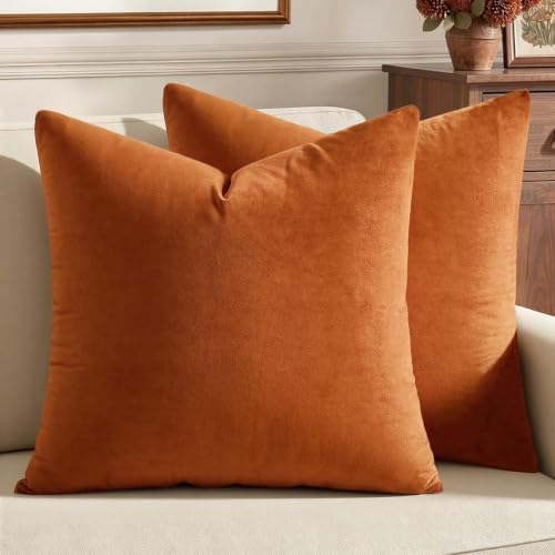 MIULEE 24x24 Inch Pack of 2 Euro Fall Velvet Throw Pillow Covers Orange by MIULEE