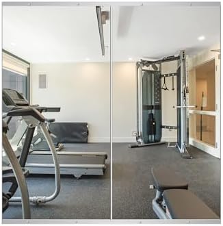 Delma Home Gym Mirror, 48"x24"x2PCS, Silver by Delma
