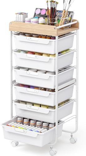 SYKIARIOL Rolling Cart with 6 Drawers,Art Craft Organizer and Storage,White by SYKIARIOL