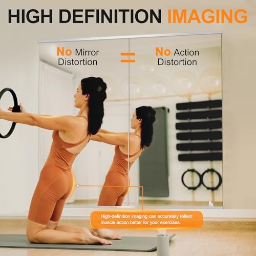 Delma Home Gym Mirror, 50''x25''x2PCS Silver Wall Mounted - Image 3