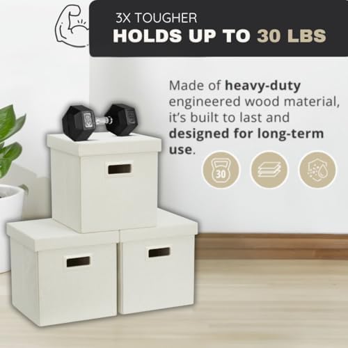 DECOMOMO Storage Basket with Lids, 3x Tougher Collapsible Storage Bins - Image 2
