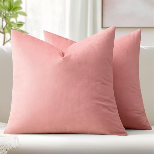 MIULEE 24x24 Inch Pack of 2 Euro Velvet Throw Pillow Covers Dusty Pink by MIULEE