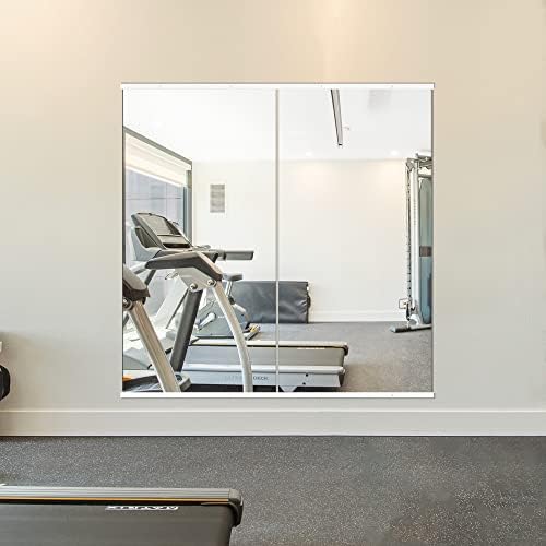 Delma Home Gym Mirror,48''x24''x2PCS White,Large Full Body Tempered Glass Frameless, Wall-Mounted for Gym, Yoga, Garage, Bedroom, Bathroom by Delma