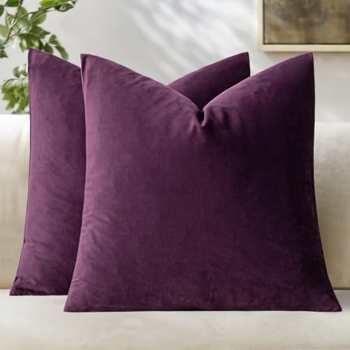 MIULEE 24x24 Inch Pack of 2 Euro Velvet Throw Pillow Covers Eggplant Purple by MIULEE