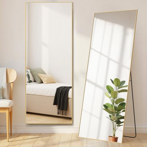 21"x64" Mirror Full Length, Upgraded Body Wall Mirrors by Aidoly