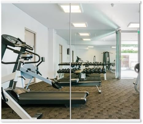 Delma Home Gym Mirror, 48''x28''x2PCS White Wall Mounted Large Frameless Tempered Glass Wall Mirror for Home Gym, Garage, Bedroom, Bathroom by Delma