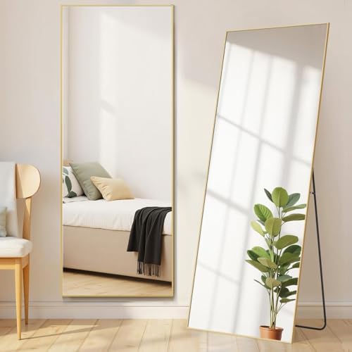 21"x64" Mirror Full Length, Upgraded Body Wall Mirrors by Aidoly