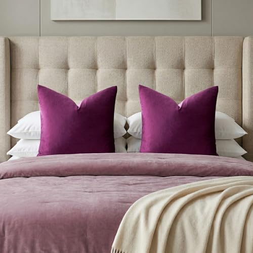 GIGIZAZA Velvet Pillow Covers 26x26 Decorative Pillows Pack of 2 Purple by GIGIZAZAFocusingonhomedecoration