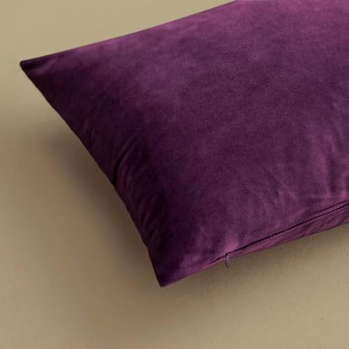 MIULEE 24x24 Inch Pack of 2 Euro Velvet Throw Pillow Covers Eggplant Purple - Image 5