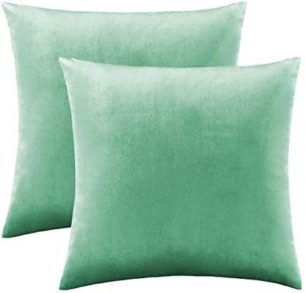 GIGIZAZA Mint Turquoise Velvet Decorative Throw Pillow Covers 20x20 for Sofa Bed 2 Pack Soft Cushion Cover - Image 2