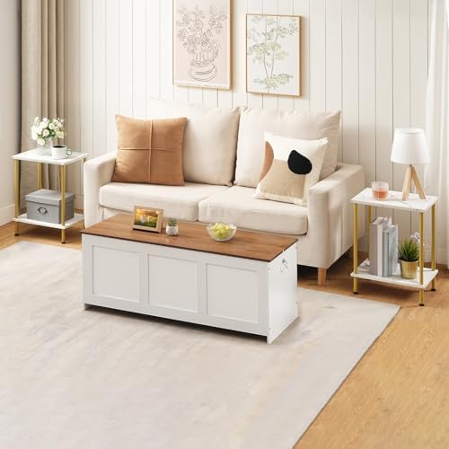HOOBRO End Tables Set of 2, Small Side Table, Nightstand with 2-Layer Storage Shelves, Sofa Table for Small Spaces, Living Room, Bedroom, Stable Frame, Easy Assembly, Gold and Marble DM09BZP201 - Image 2