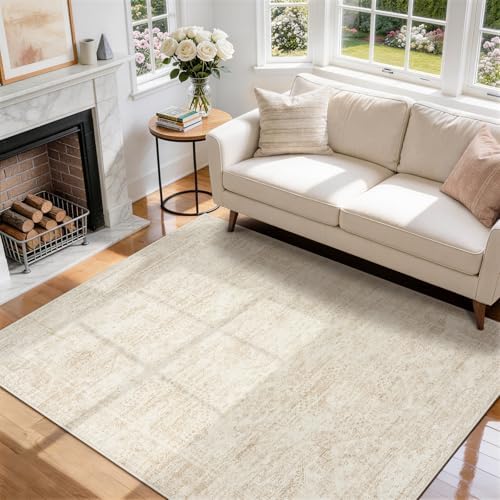 Aelenmu 5x7 Area Rugs for Living Room Washable Bedroom Dining Room Beige by Aelenmu