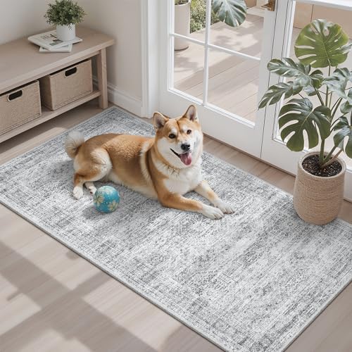 Soalmost 2x4 Washable Rugs for Kitchen, Entryway, Small Area Rug Grey by Soalmost