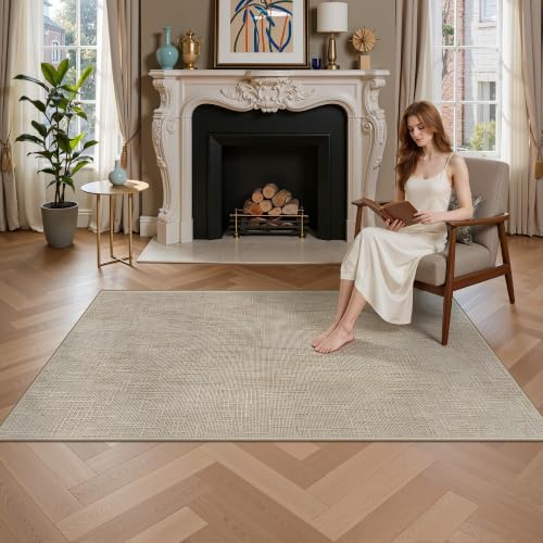 Valenrug 4x6 Area Rug, High-Low Pile Washable Rug for Living Room, Beige by Valenrug